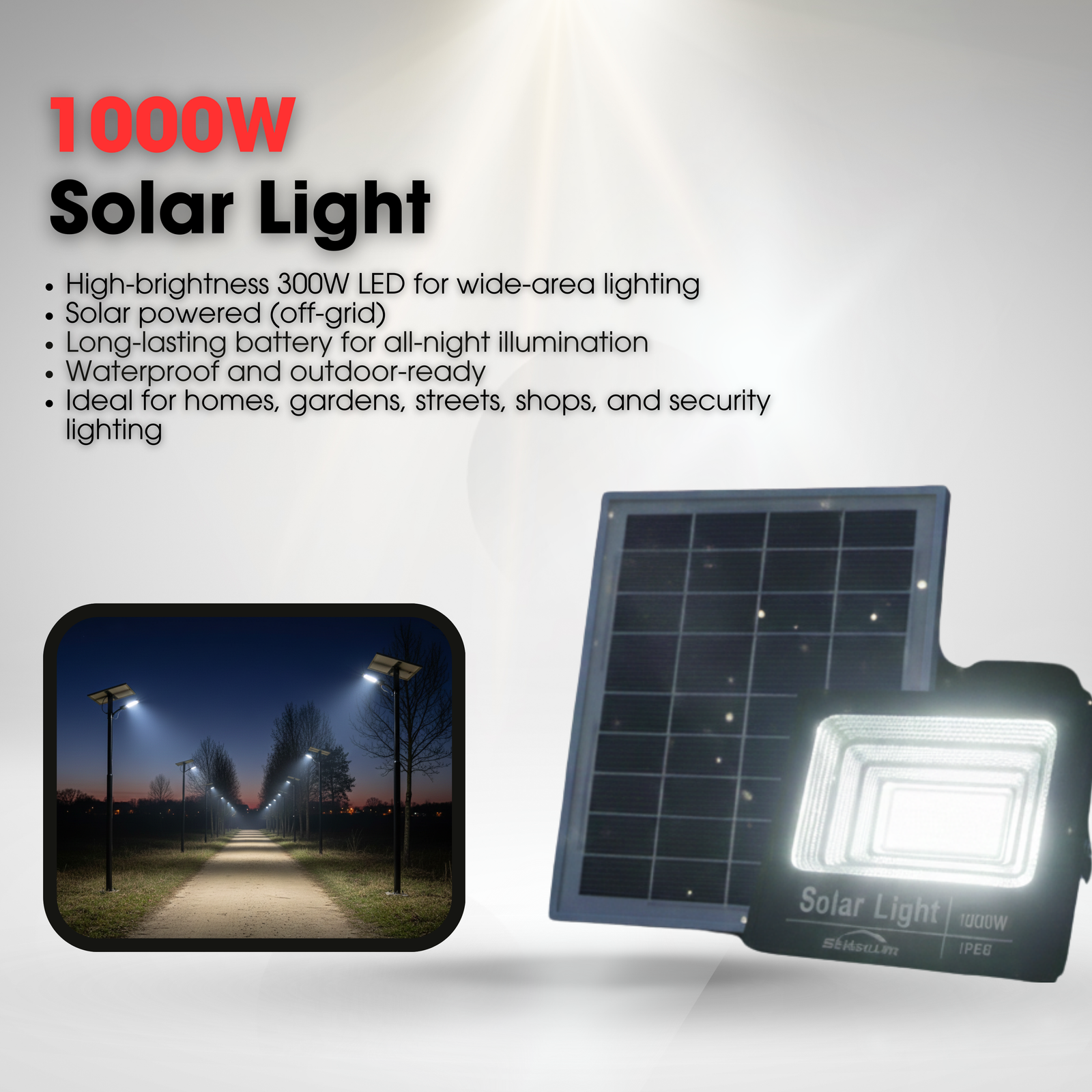 1000W Solar Light