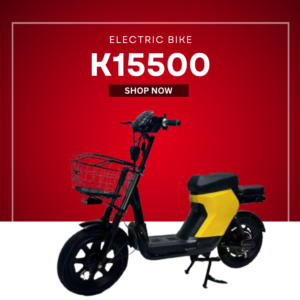 Electric Bike Powered by a 60V 20Ah Battery