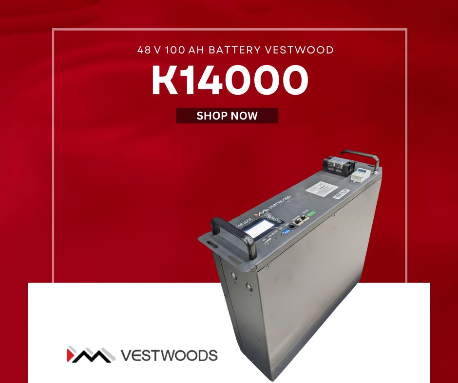 48 V 100 Ah VESTWOOD Battery
