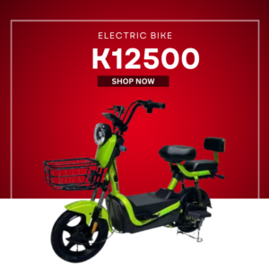 Electric Bike – 48V 20Ah Battery
