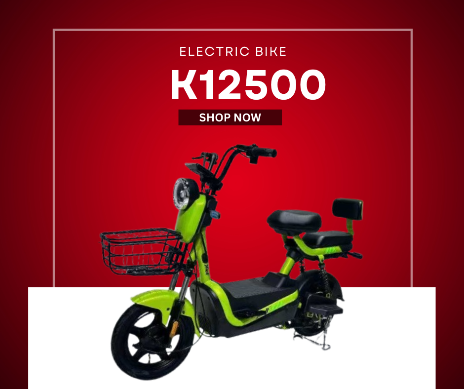 Electric Bike – 48V 20Ah Battery